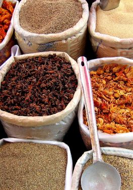 Culinary Tour of North India